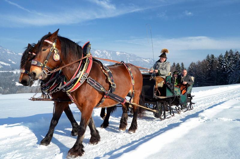 Unterwoetzlhof Hotel Abtenau Buitenkant foto