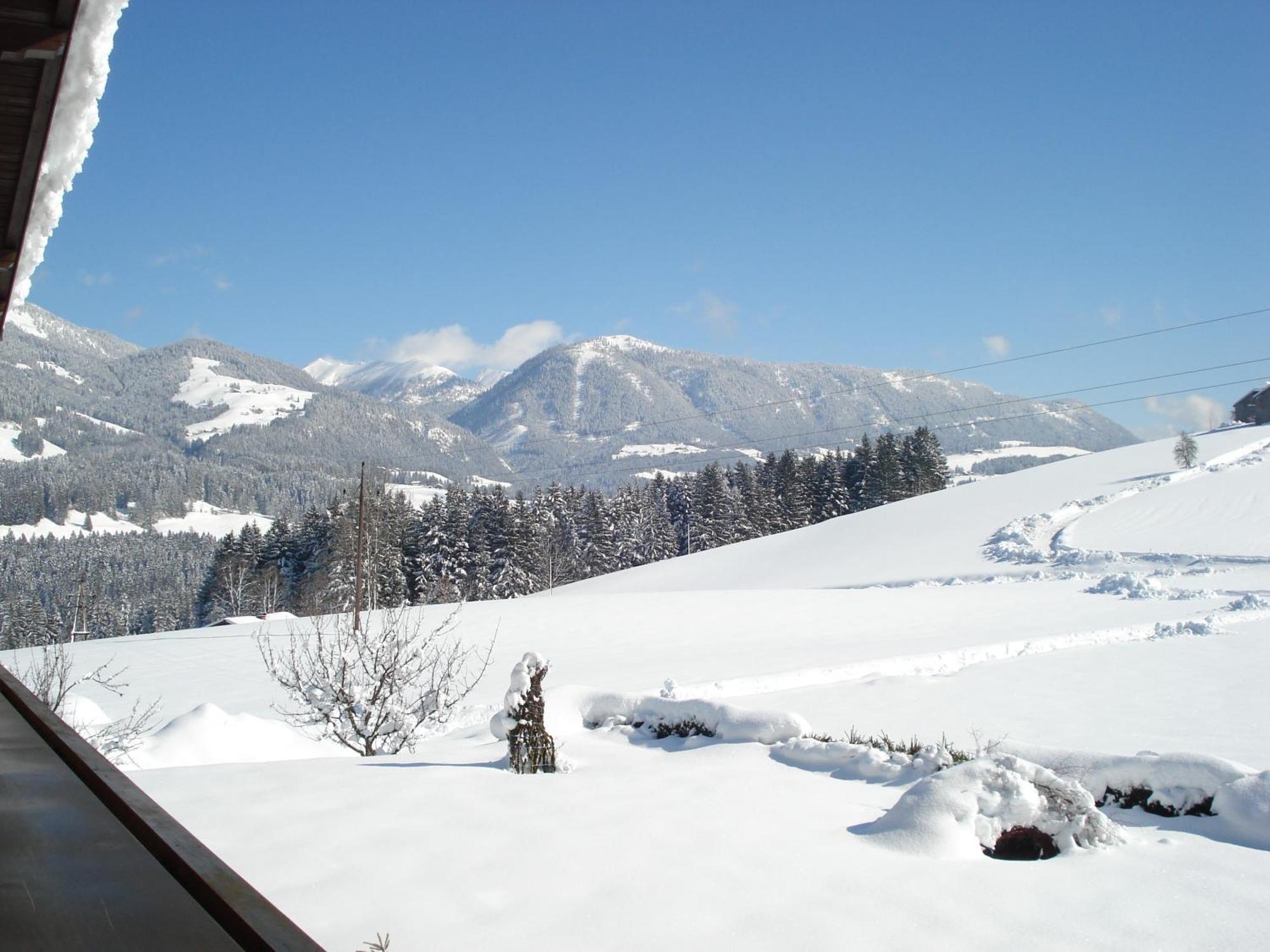 Unterwoetzlhof Hotel Abtenau Buitenkant foto